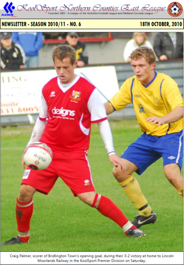 NCEL Newsletter - 2010/11 - #06