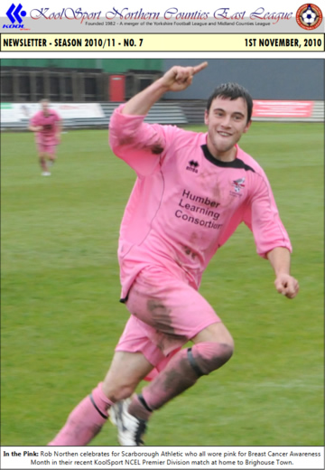 NCEL Newsletter - 2010/11 - #07