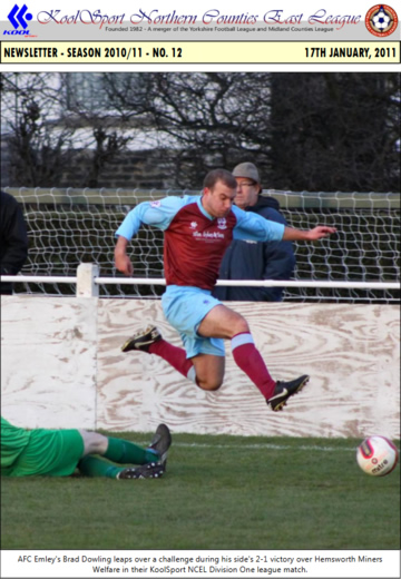 NCEL Newsletter - 2010/11 - #12