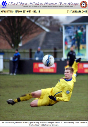 NCEL Newsletter - 2010/11 - #13